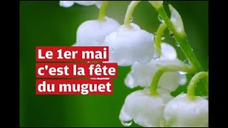 VIDEO Le 1er mai cest la fête du muguet [upl. by Sirah674]