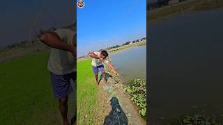 😲How to fish with arrow bowpart52 ikan busur peşte ikan shorts vairal channa [upl. by Naashar267]