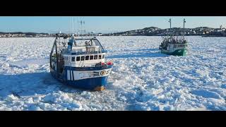 Off to the Crabbing Grounds Twillingate Harbour NL April 2022 [upl. by Okomom119]