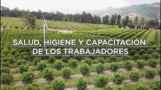 Video de capacitación del personal de campo en la inocuidad de frutas y vegetales [upl. by Karilynn915]