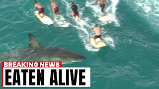 These 6 Surfers Were EATEN ALIVE in Front of Their Families [upl. by Ahsetal]