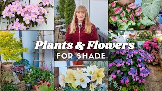 10 Plants amp Flowers For a Shade Container Garden [upl. by Ocirederf]