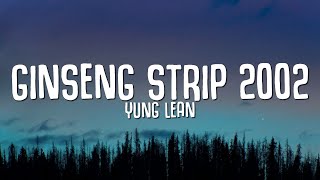 Yung Lean  Ginseng Strip 2002 Lyrics quotbitches come and go brahquot TikTok Song [upl. by Yot76]