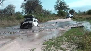 Moremi Game Reserve Botswana HD [upl. by Henrion193]