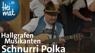 Hallgrafen Musikanten Schnurri Polka  Wirtshausmusikanten  BR Heimat  die beste Volksmusik [upl. by Anniram583]