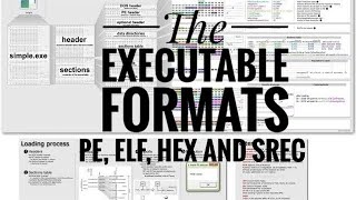 The executable formats PE ELF HEX SREC AND [upl. by Odele]