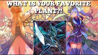 Almost TOO Many Plants Another Combo Piece For The Aroma Rikka Sunvine Deck  Yugioh Master Duel [upl. by Faustus814]