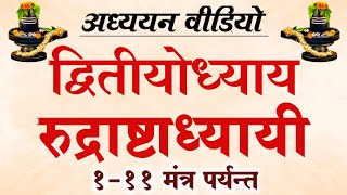 111 मंत्र रुद्री द्वितीयोध्याय Rudri dwitiya adhyay  रुद्री दूसरा अध्याय बोलना सीखें [upl. by Teiv]