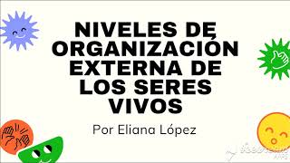 Niveles de organización externa de los seres vivos individuo población comunidad y ecosistema [upl. by Brianne]