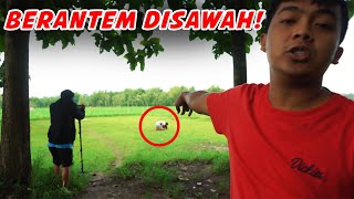 PRANK AVESINA   sesusai keinginan kalian 🥲 [upl. by Woermer]