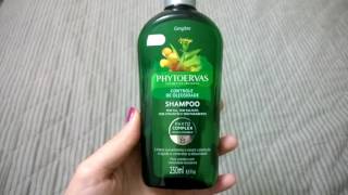 Shampoo para CABELOS OLEOSOS PHYTOERVAS GENGIBRE Testei SEM SULFATO LOW POO [upl. by Madelene]