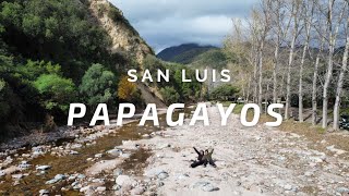 ENCONTRAMOS una JOYA sobre la RUTA 1  PAPAGAYOS  San Luis [upl. by Ferdie]