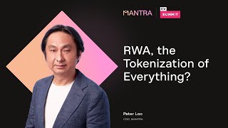 CV Summit  RWA the Tokenization of Everything [upl. by Pol]