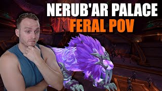 Full Clear All Nerubar Raid Bosses Feral POV Normal TWW Beta Testing [upl. by Magnolia]