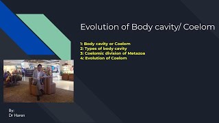 Evolution of Body cavity or Coelom [upl. by Kallman]