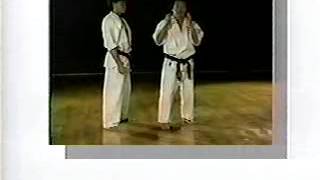 KihonSonoRokkowmv World Oyama Karate [upl. by Ellerahs]