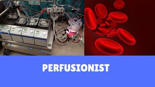 Perfusionist  what we do [upl. by Eatton]