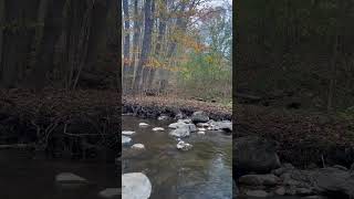 Today ‘s hike in Gatineau park autumn music [upl. by Enawyd]