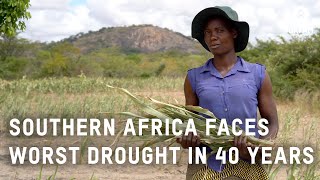 Worst drought in 40 years hits Southern Africa  report from Zimbabwe  Oxfam GB [upl. by Ymmac]