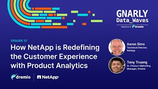 EP37  How NetApp is Redefining the Customer Experience with Product Analytics [upl. by Avram]