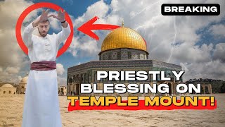 BIBLICAL Kohanim Ascend the Temple Mount  Red Heifer Update [upl. by Primrosa]