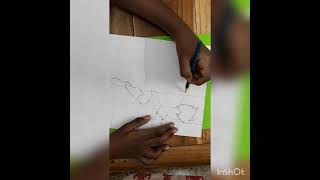 how to draw Twisting tiger from supa strikasstep by stepartist juan [upl. by Nura]