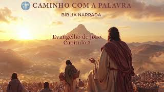 Bíblia Narrada Evangelho de João Capítulo 3 [upl. by Jaymie]