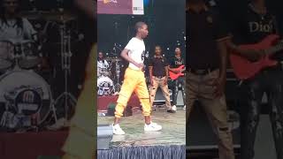 Watch Ama2k Reinvent Borrowdale Dance During Alick Machesos Show In Harare Gardens [upl. by Voleta125]