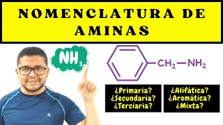 NOMENCLATURA ORGÁNICA AMINAS  Nomenclatura de Aminas [upl. by Eniamrehs]