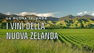 I vini della Nuova Zelanda  Tannico Flying School [upl. by Lahsram294]