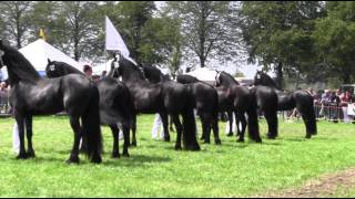 The KFPS Royal Friesian Horse [upl. by Rovaert]