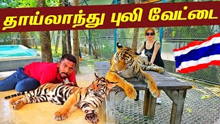 தாய்லாந்து காட்டில் புலி வேட்டை🐅  Thailand Tiger Village🇹🇭  Jaffna Suthan [upl. by Hamlet]