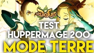 Test Huppermage 200 MODE TERRE  DOFUS [upl. by Nomde853]