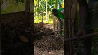 Making Compost gardening life shorts [upl. by Seely]