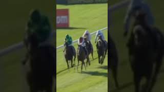 0445 CURRAGH 20240915 favourite esy esy won KYPRIOS 2to5 favourite winner💰🤑💵💰🤑💵💰 RL MOORE [upl. by Ut229]