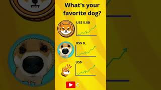 Shiba Inu Coin news today latest now crypto shiba shib digitalcurrency cryptocurrency [upl. by Galateah295]