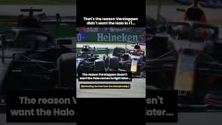 This might be why Max Verstappen didnt want the Halo in Formula 1 [upl. by Rehpretsirhc]