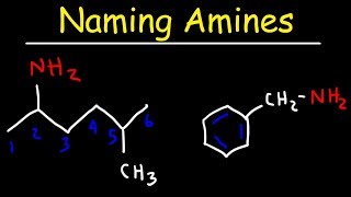 Naming Amines  IUPAC Nomenclature amp Common Names [upl. by Ardra]