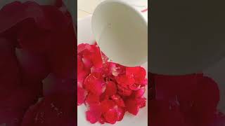 🌹റോസ് വാട്ടർ ഇനി വീട്ടിൽ ഉണ്ടാക്കാം😱 rose water making vedio [upl. by Colas]