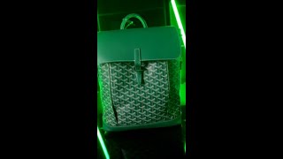 Goyard backpack [upl. by Ayel]