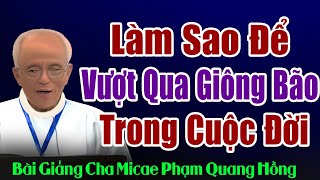 Làm Sao Để Vượt Qua Những Giông Bão Trong Cuộc Đời  Bài giảng của Cha Phạm Quang Hồng [upl. by Bijan]