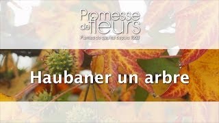 Haubaner un arbre  video pour les jardiniers [upl. by Kieffer694]