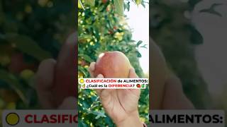 🟡 CLASIFICACIÓN de ALIMENTOS ☝️ ¿Cuál es la DIFERENCIA 🍓RafaCarbajal [upl. by Alathia]