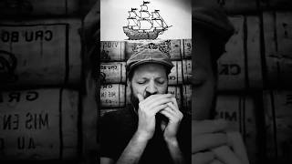 Spanish Ladies Sea Shanty  Easy Third Harmonica Tabs [upl. by Onimod858]