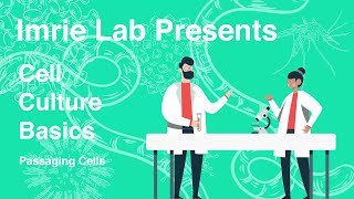 Cell Culture Basics Passaging cells [upl. by Ennahoj]