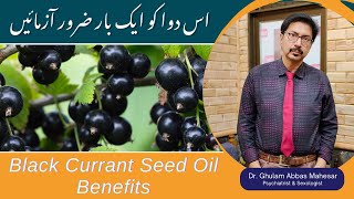 Black Currant Seed Oil Benefits in Urdu  Black Seed Oil Uses  Essential Oils Uses [upl. by Carver11]