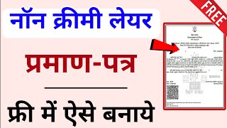 Non Creamy Layer Certificate Online Apply 2024  OBC NCL Caste Certificate kasie banaye [upl. by Huebner596]