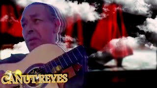 Canut Reyes  live gipsy [upl. by Haymo]