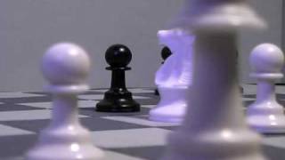 StopMotion Chess [upl. by Aehcsrop]