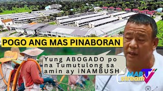 Mga Magsasaka SINIPA sa LUPAING Sinasaka sa PORAC kapalit ng POGO  Abogado ng mga Magsasaka TINUMBA [upl. by Meill]